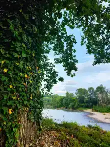 Комарово клуб - 15