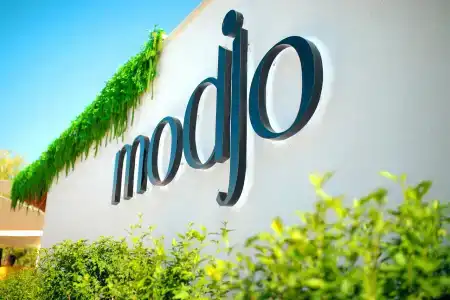 Modjo (бывш. Донна Роза) Моджио - 36