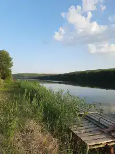 Ласточка - 3