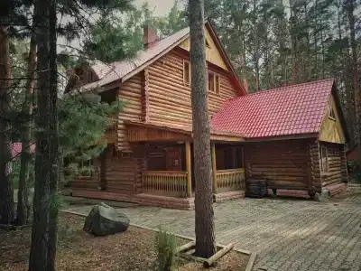 Сосновый бор - 4