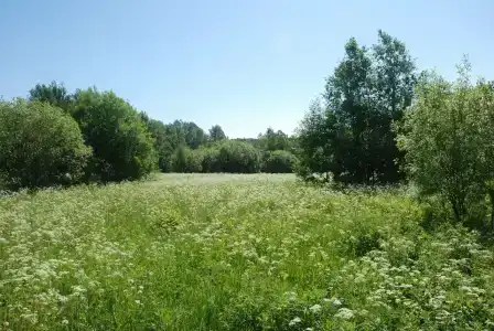 Вятиккя - 11