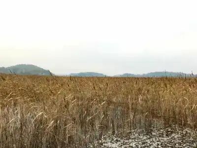 Ярви Хаус - 51