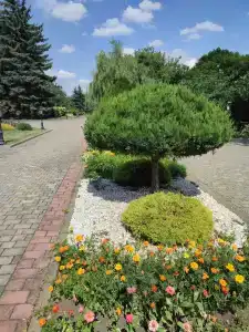 Дон - 18