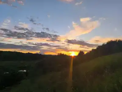 КартошКино - 15