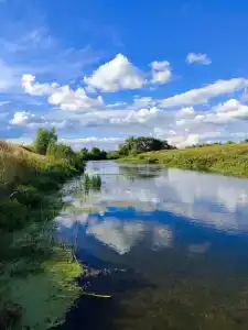 Куликово поле - 25