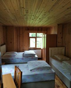 Ayder Koru - 5