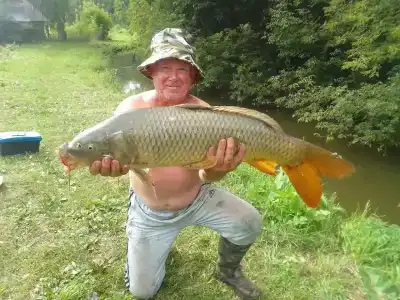 Голден Фиш - 37