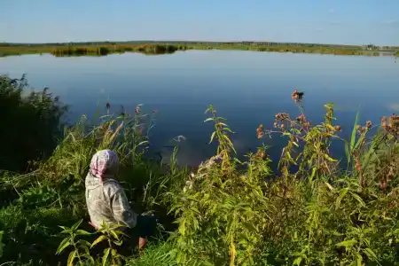 Лес среди болот - 10