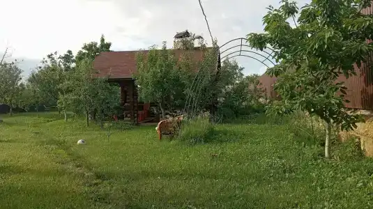 Ноев Ковчег - 25