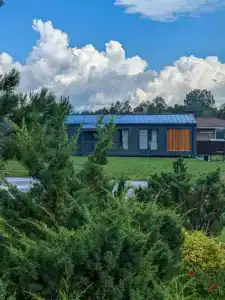 Добро и Лес - 25