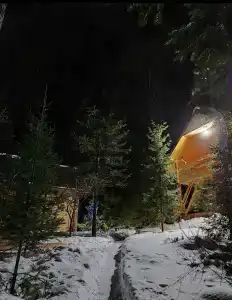 На Ореховой - 35