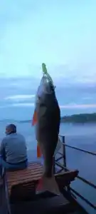 Этно деревня Берендеевка - 36