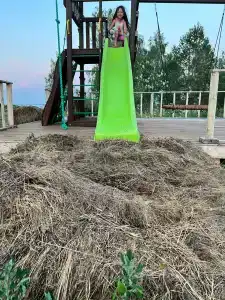 Зелёный остров - 9