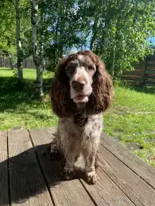 Подмосковный домик - 88