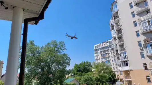 33 тюльпана - 4