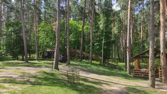 Берег - 36