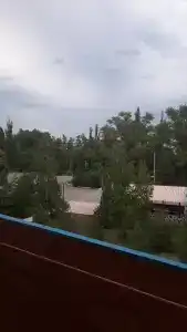 Чайка - 37
