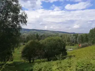 Гостевой дом Бедаревых у Пасечника - 20