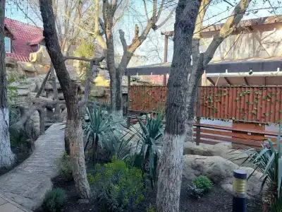 Золотая вилка - 40