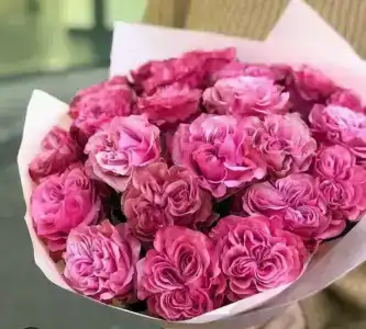 Карельская сказка - 23