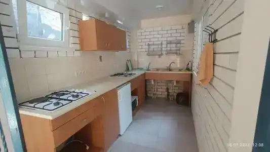 Кипарис-канака - 33