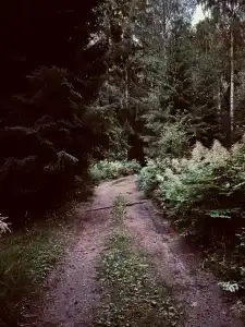 Ravansaari - 53