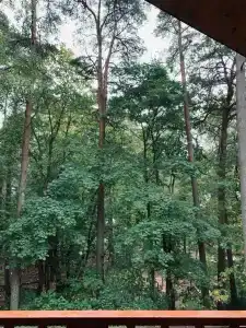 Доброе утро - 20