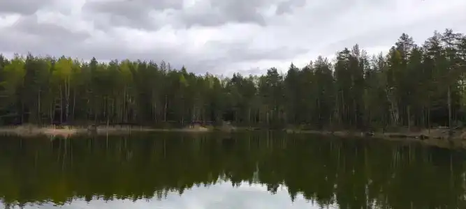 Чёрное озеро - 21