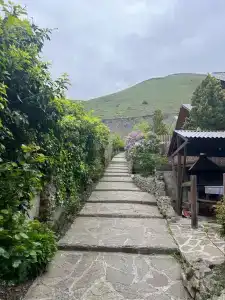 Asta Village - 16