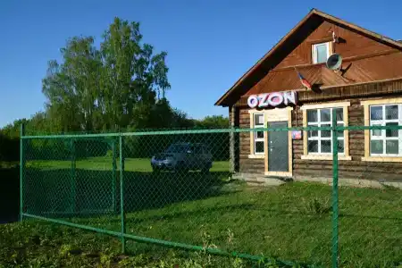 Лес среди болот - 2