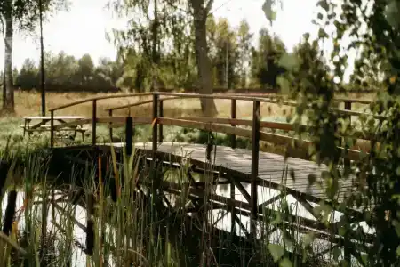 Банный Остров - 19