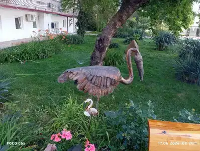 Фламинго - 27