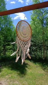 BOHO CAMP - 17