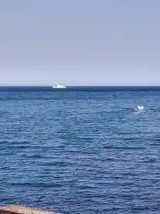 Бухта Радости - 9
