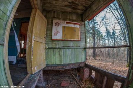 Дубки - 40