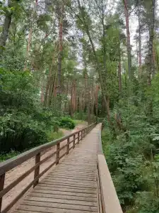T-Park, тренинговый парк - 0