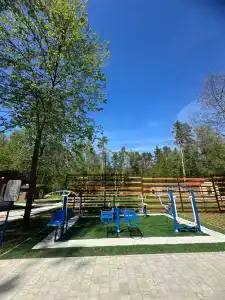 Подберёзовик - 23