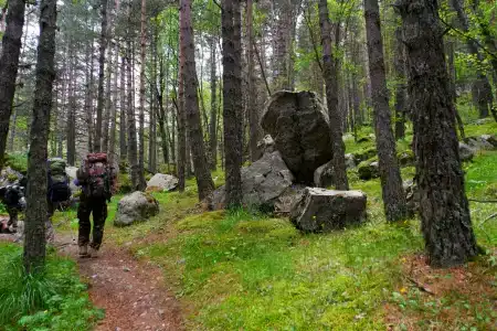 Комы-Арт - 30