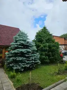 Эко Суздаль Inn - 65