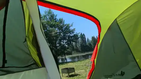 Родничок - 10