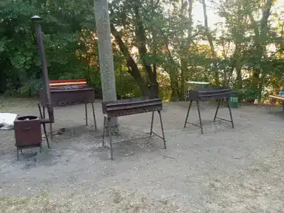 Каштан - 4