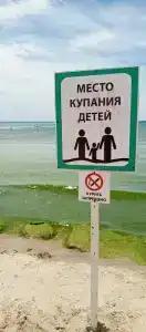 Фея 2 - 62