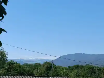 Ореховая роща - 37