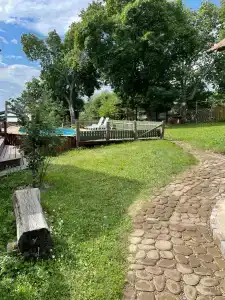 Лесная сказка - 33