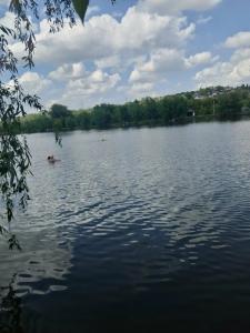 Монахов пруд - 84