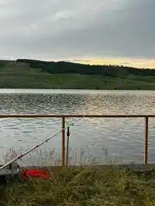 Чайка - 57