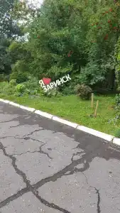 Бодрость - 14