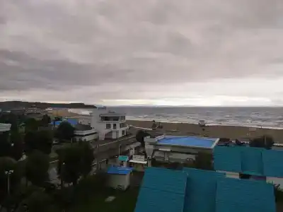 Звезда моря - 17