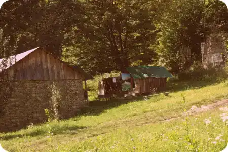 Затерянный мир - 34
