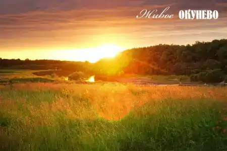 Живое - 4